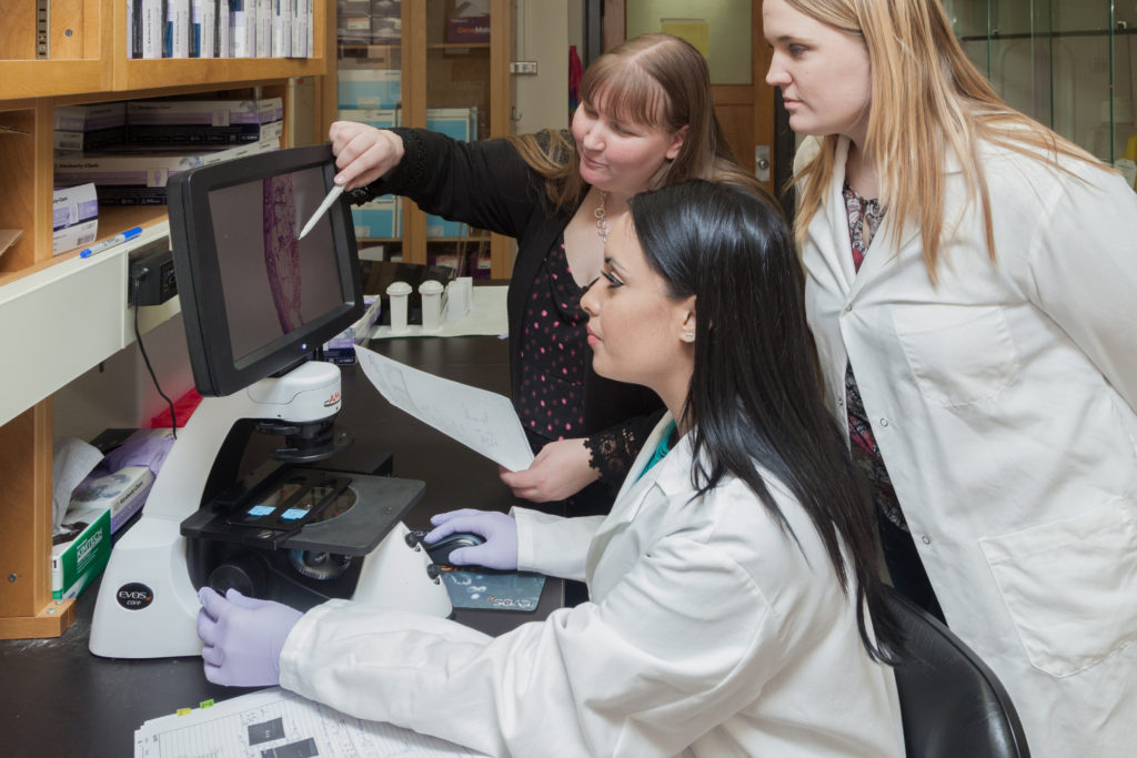 image of laboratory staff working