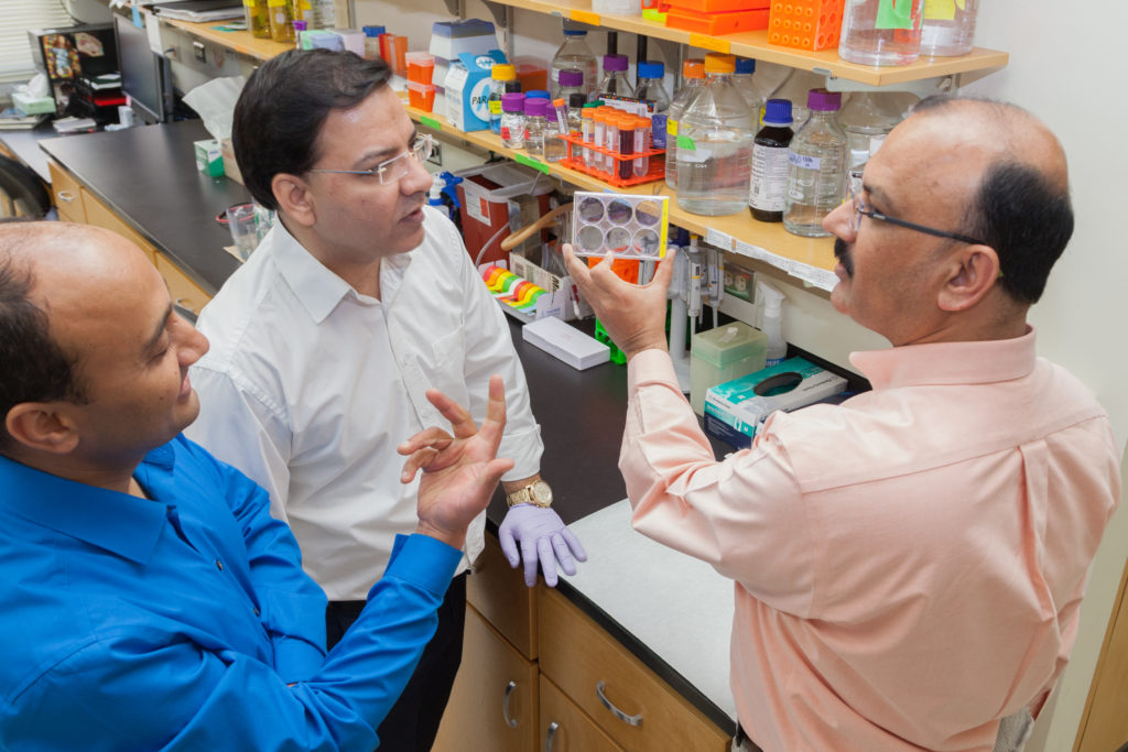 image of laboratory staff working