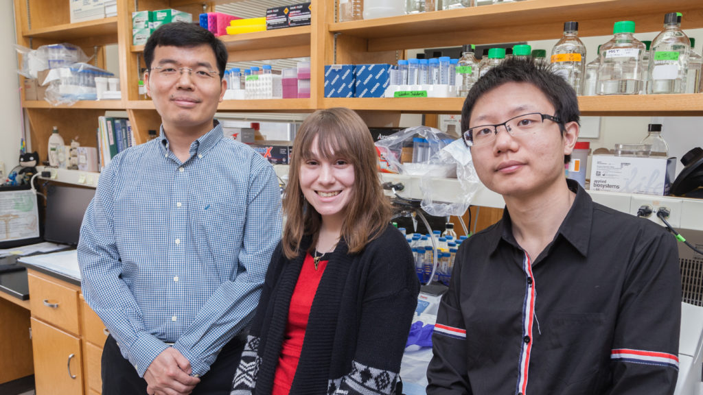 Hao Chang, PhD (left), in his lab with research assistant Samantha Vold and undergraduate researcher Bo Dong.