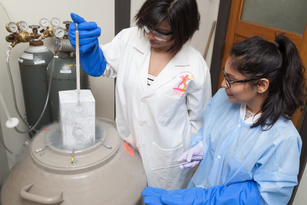 image of laboratory staff working