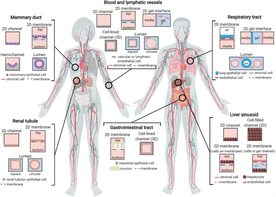 image of vessels
